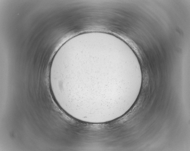 X0000114161390200911191216