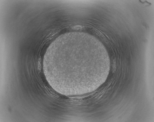 X0000114161394200911191215