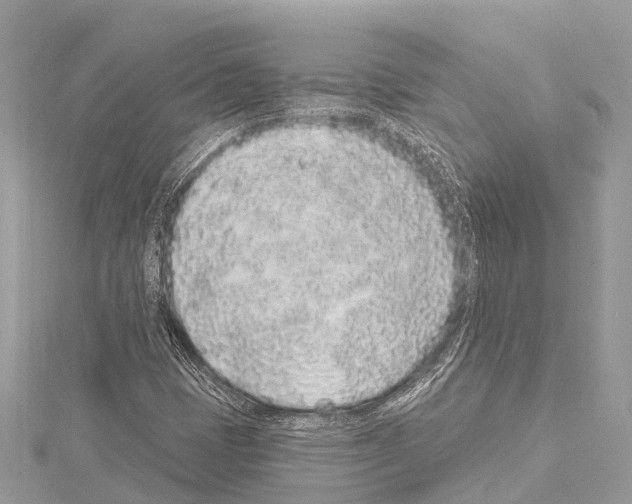 X0000114161401200911191215