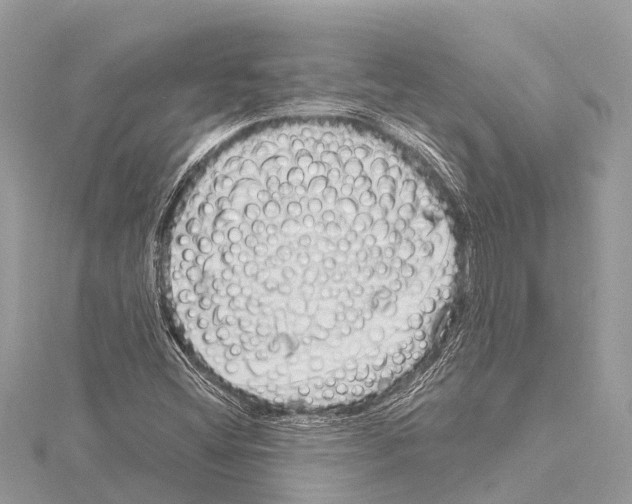 X0000114161404200911191215