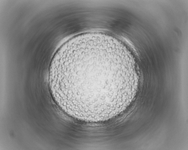X0000114161420200911191216