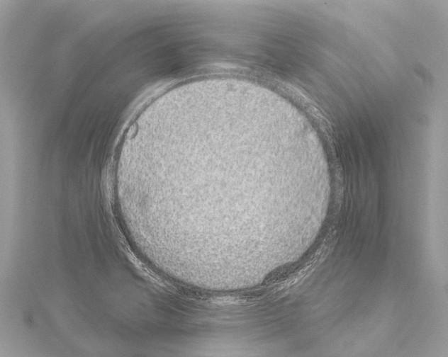 X0000114161421200911191216