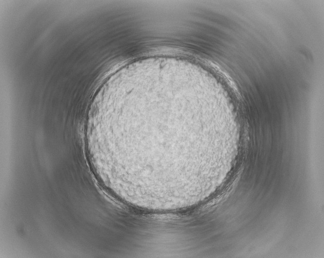 X0000114161425200911191216