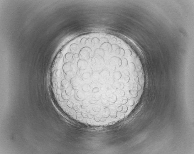X0000114161432200911191216