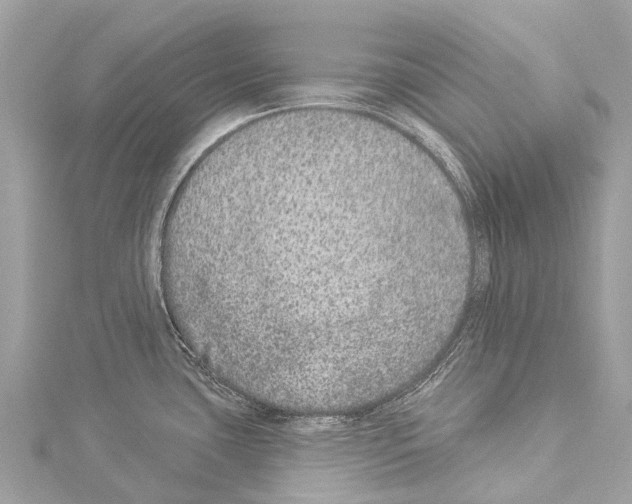 X0000114161435200911191216