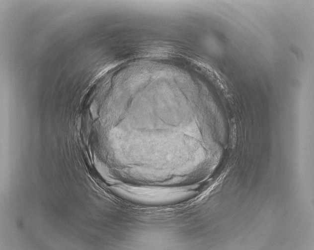 X0000114161449200911191215