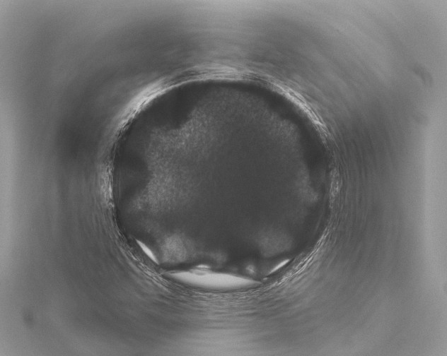 X0000114161455200911191215