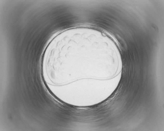 X0000114161483200911191215