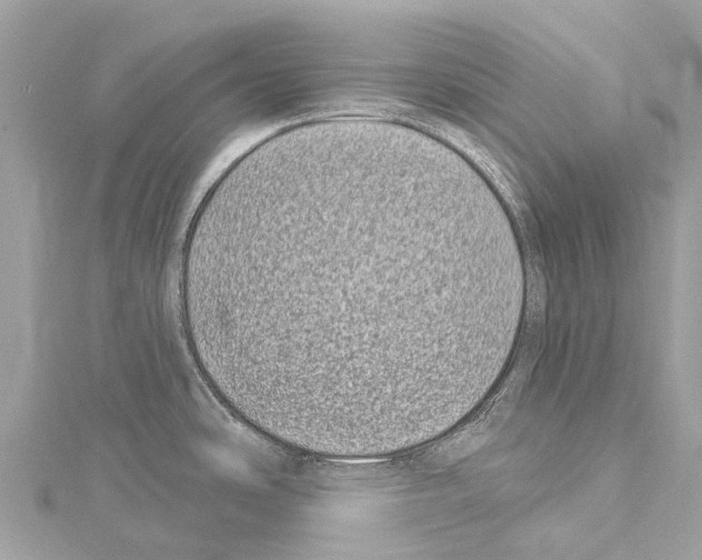 X0000114161486200911191215