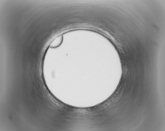 X0000114161512200911191214
