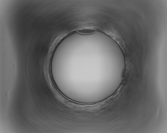 X0000114170001200910081122