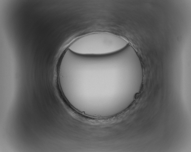 X0000114170005200910081122