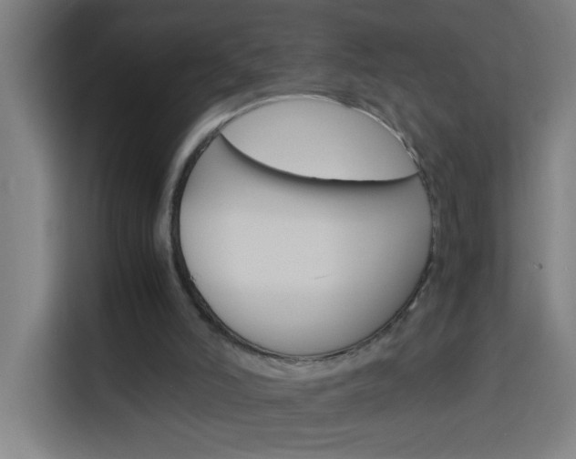 X0000114170006200910081122