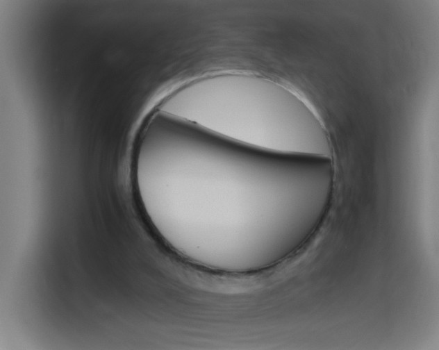 X0000114170008200910081122