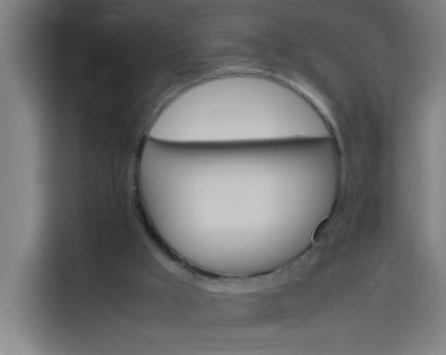 X0000114170009200910081122