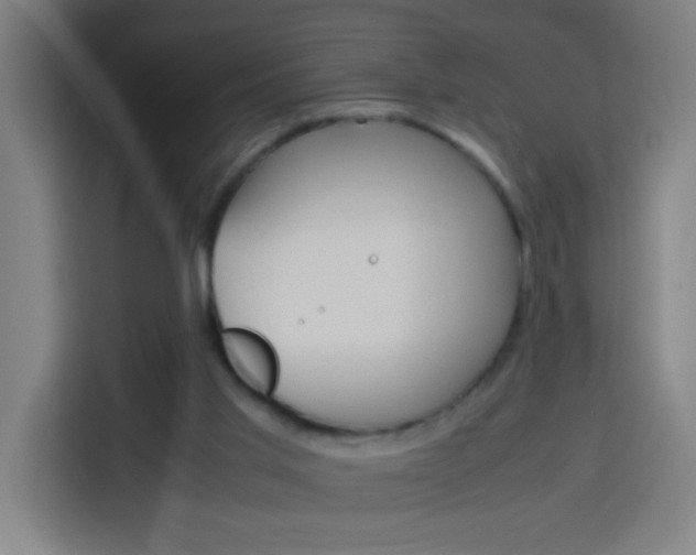 X0000114170013200910081122