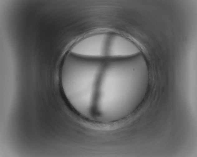 X0000114170015200910081122