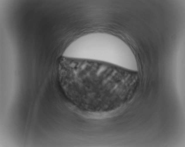 X0000114170037200910081122