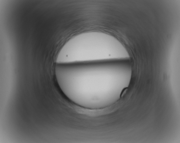 X0000114170039200910081122