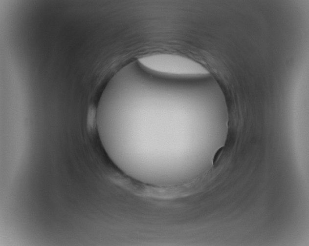 X0000114170041200910081122
