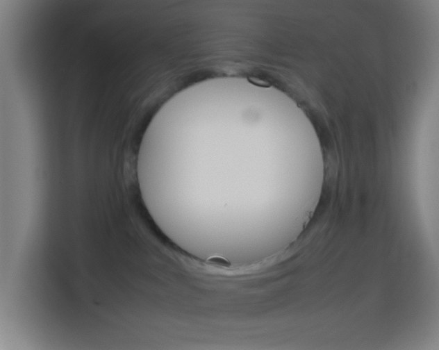 X0000114170043200910081122