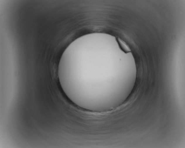 X0000114170044200910081122