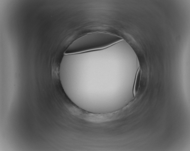 X0000114170045200910081122