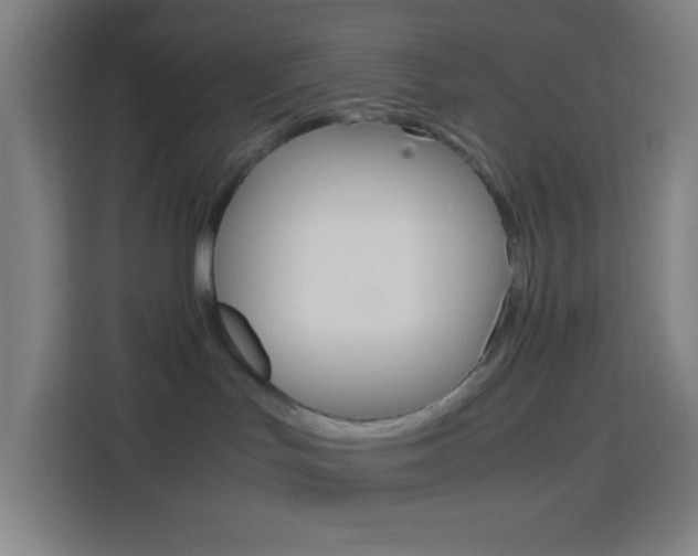 X0000114170047200910081122