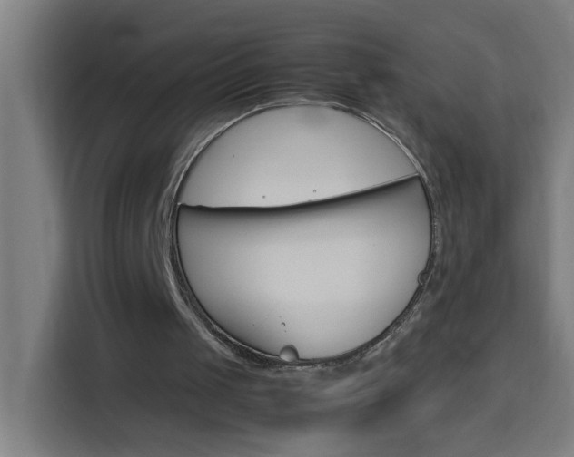 X0000114170049200910081121