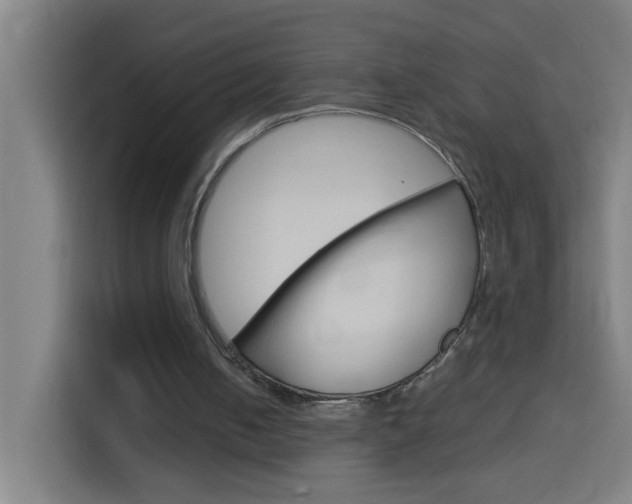X0000114170050200910081121