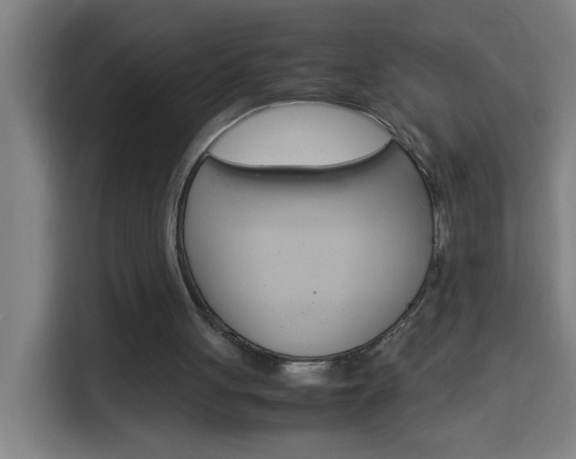 X0000114170051200910081121
