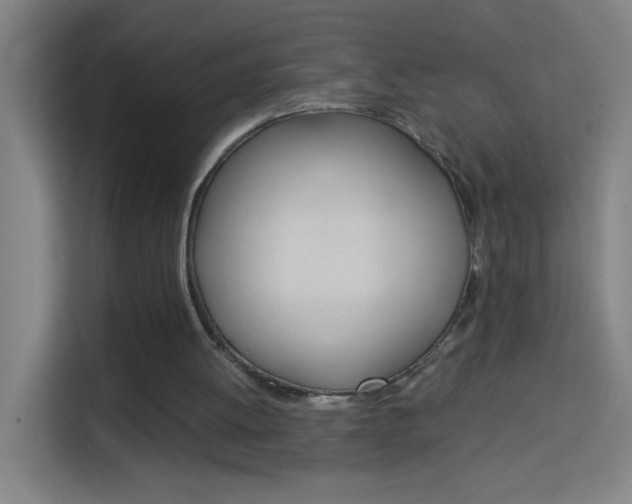 X0000114170052200910081121