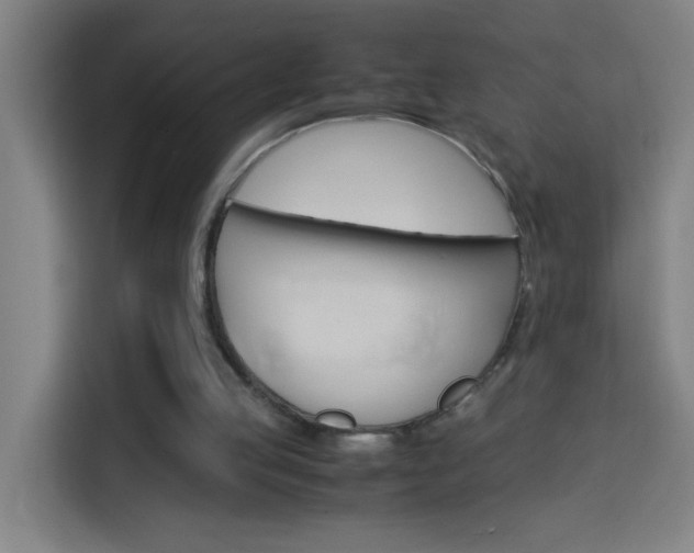 X0000114170053200910081121