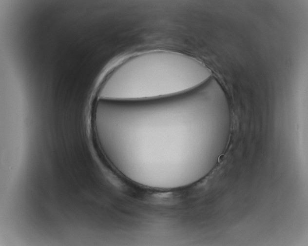 X0000114170054200910081121