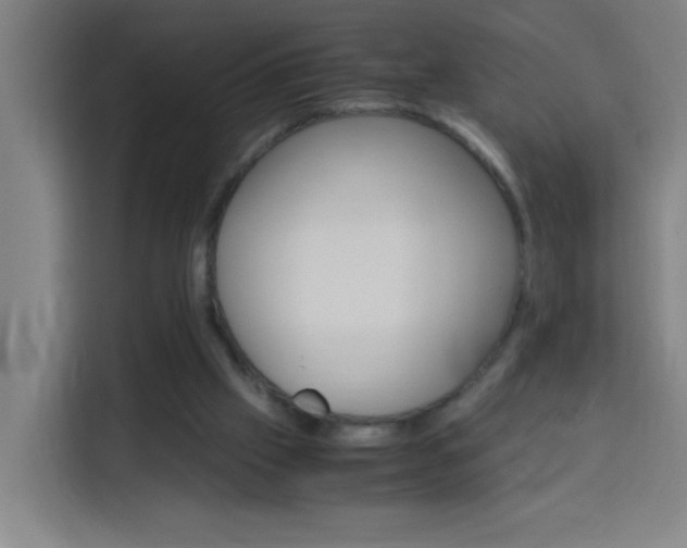 X0000114170057200910081121