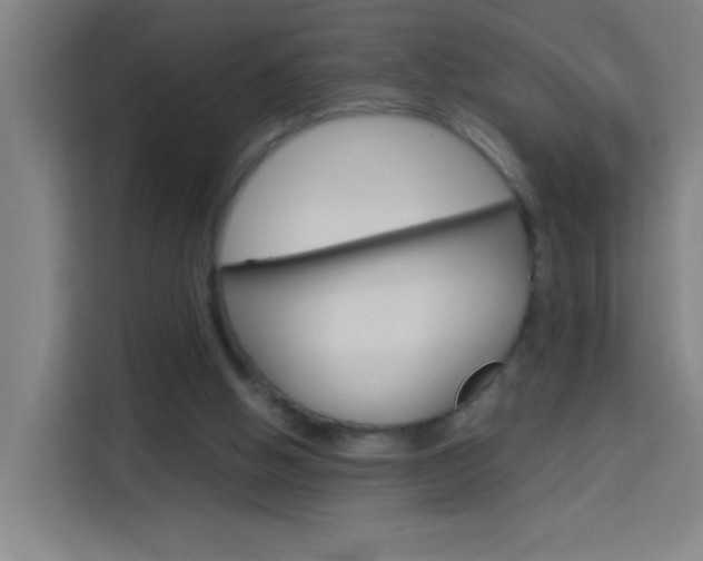 X0000114170058200910081121