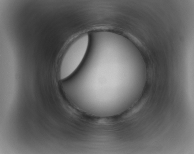 X0000114170064200910081121