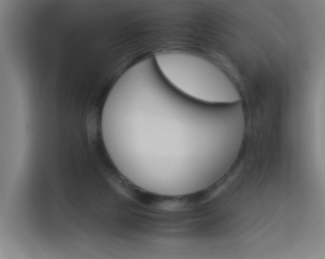 X0000114170065200910081121