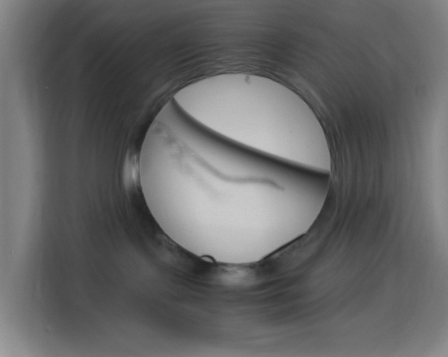 X0000114170095200910081122