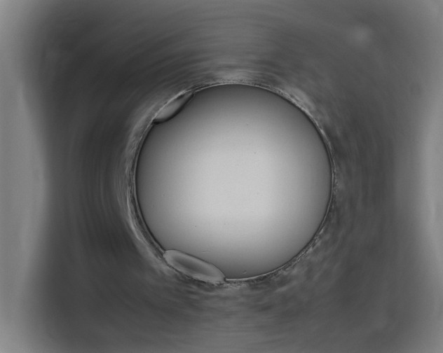 X0000114170097200910081121