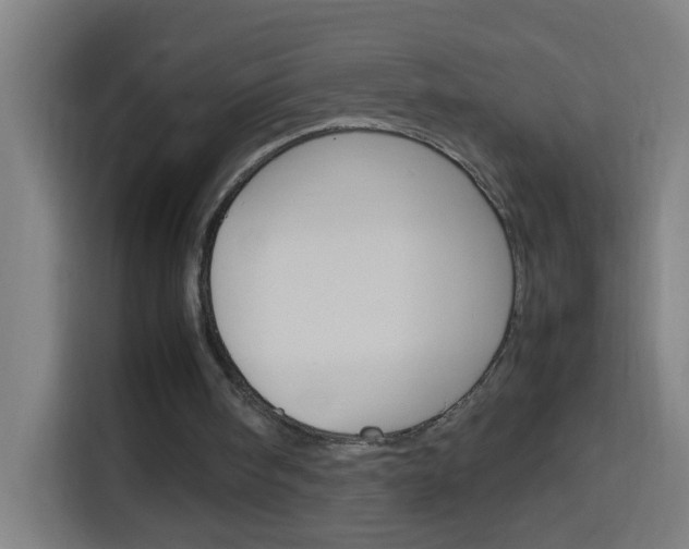 X0000114170098200910081121