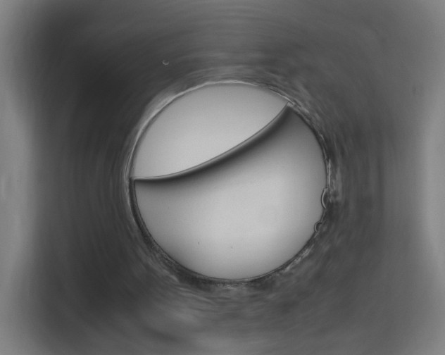 X0000114170099200910081121