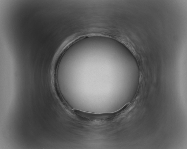 X0000114170101200910081121