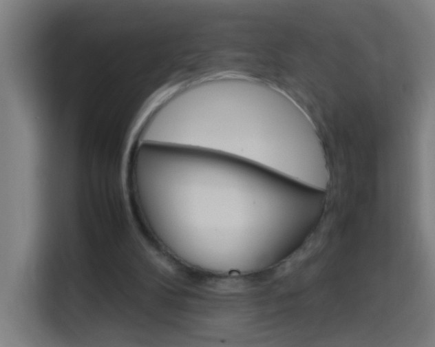 X0000114170104200910081121