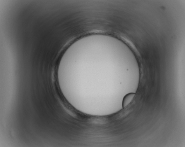 X0000114170106200910081121