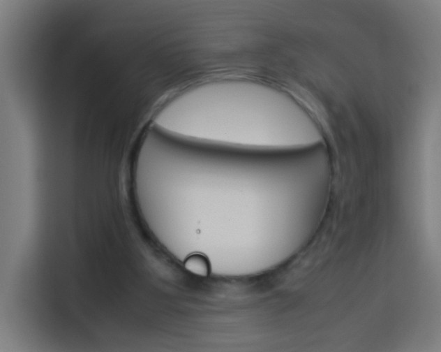 X0000114170107200910081121
