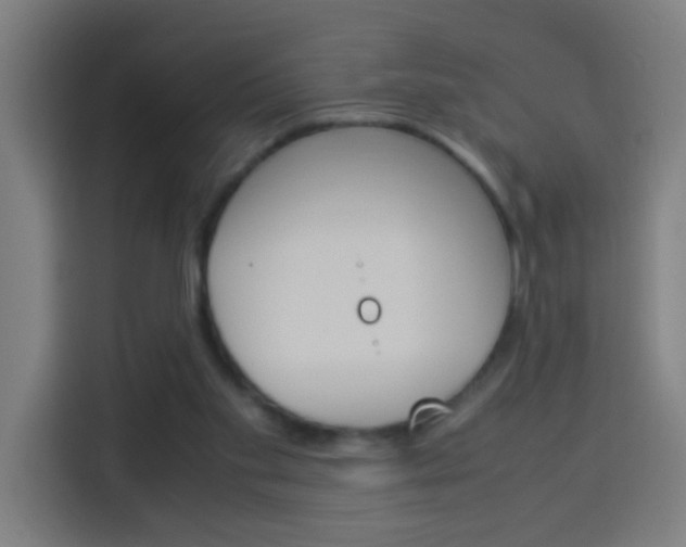 X0000114170109200910081121