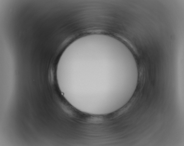 X0000114170110200910081121