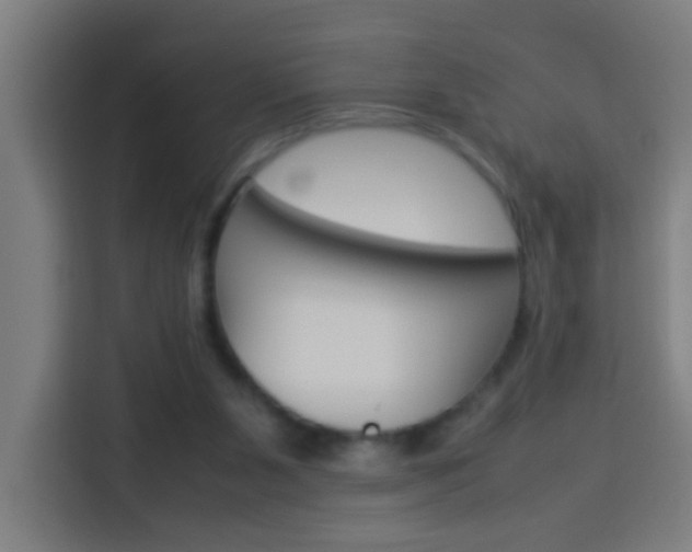 X0000114170111200910081121