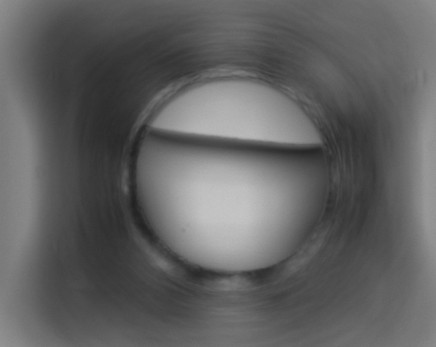 X0000114170112200910081121